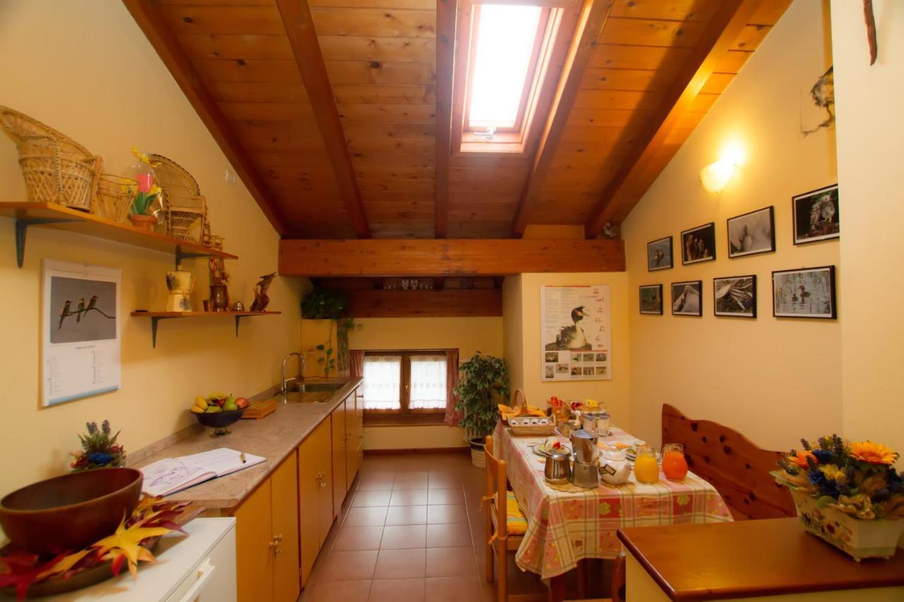 Guest House Il Nido Dello Svasso -Foresteria Lombarda- Sorico Exterior foto